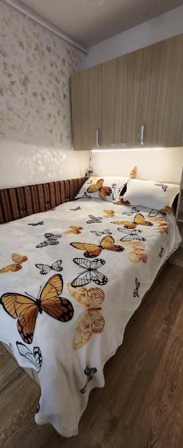 Butterfly Apartment Timisoara Exterior photo
